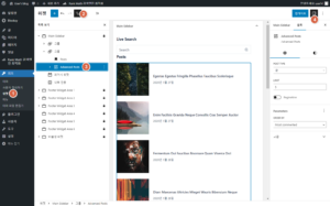 Advance Post 셋팅화면