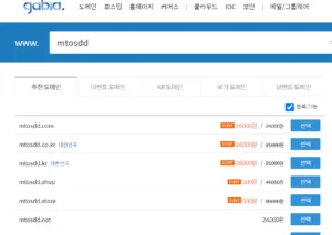 도메인 가격리스트